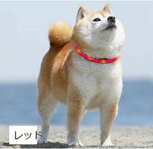 ŐV p  usb[d _炩 y \ ybg L LED S΍ FQ 3̔[h ȒP (bh)