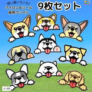 by ̎q AbvP ACڒ V[p (  Ί X}C, 9Zbg)