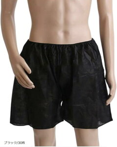 pc ĝ y[p[pc ȈՉ jp TEi GXe ЊQ s ubN/30 (ubN/30)