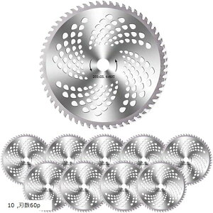 ݊i@ `bv\[ @̐n ւn X`[ 255mm  pi 10Zbg(n60p 10Zbg)