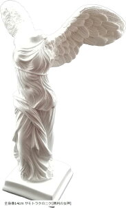 p ΍pl Sg14cm TgP̃jP̏_ (14cm`28cm)