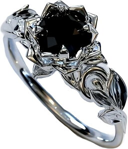 KNO w  ubN[Y SX ʎY^ nn 킢