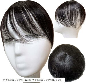  j jp Jc Y ނ  V[g l100%  EBbO i`ubN 20cm(i`ubN 20cm, Free)