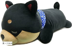 }  ܂ NbV {fB[s[  u 킢  Č    ܂ ( ܂)