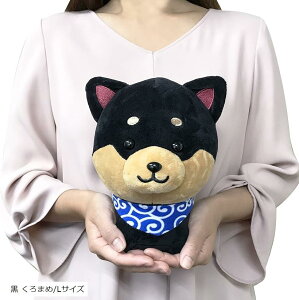 } }XRbg NbV 킢  Č    ܂/LTCY( ܂/LTCY)