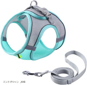 Uccellino  bV n[lX  ʋC  [h ȒP ETMpn[lX ~gO[ XXS (~gO[, XXS)