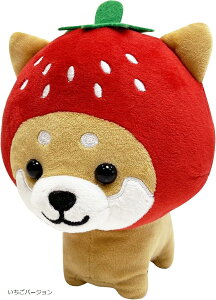 } }XRbg NbV 킢  Č  (o[W)