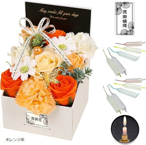   ͂Ȃ {bNXt[ 낤 ~    Zbg SW2496IWn (IWn, Medium)