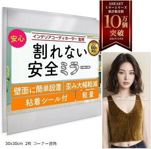 RR~[ CocoMirror Ȃ p Sg Ǌ| p \鋾 ǂɓ\鋾 EH[~[ Ǌ|~[ (30x30cm 2 R[i[p)