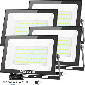  80W 4Zbg led ɔ^ 퉮O 100v 6500k  Ɠ O HpCg ledCg Op(F6500K, 80W 4)
