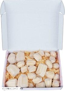 }` L[u fR{R  ϖ Ύq ςݖ 26Zbg sNjR[(sNjR[@ؐ)