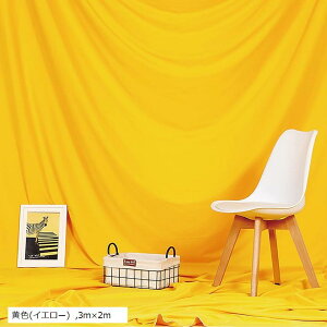 wiz Bep Bez obNXN[ wiV[g obNOEh ʐ^ X^WIwi XN[V[g (F(CG[), 3mx2m)