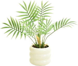 �t�F�C�N�O���[�� �ϗt�A�� ��� �~�j���V ���t�� �C���e���A�G�� �������� �f�X�N ���r���O ���� ���� �����O���[�� ���� �i�`������ ������ ���͋C��� (�O���[��, �t���[�T�C�Y)