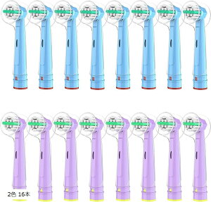 ݊iuE ݊i I[B Ή duV ւuV qp EB10 ݂݃N[LbY qǂ (2F 16{(炩))