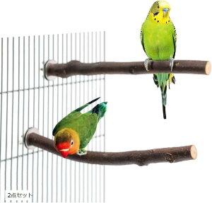 yyVLO1ʓ܁zNSHACK ~܂ XeX VR CR  񂲂̖ IE  tȒP 2_Zbg (uE)