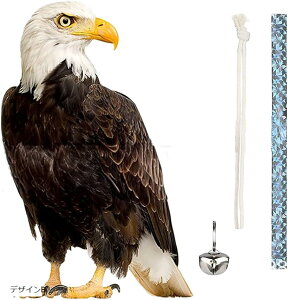 悯 tNE  悯ObY JX x_ u tNE^悯 ݂艺 JX (fUCB)