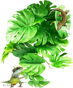 lHA ঒ރP[Wp roE  t  J JG zՕt ybgpi(Xe)