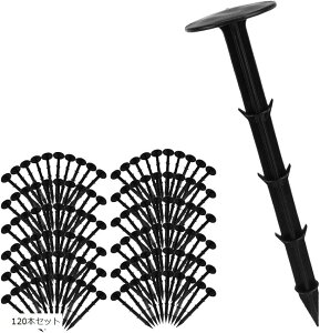 hV[g Œs 120{  Y e y KтȂ Ԃt | _炩yp (ubN, 3.5 x 3.5 x 15 cm)