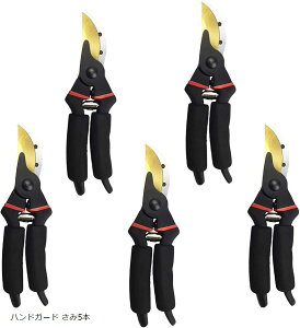  |p͂ }؂΂ SK-5X`[n oT~ nhK[h 5{