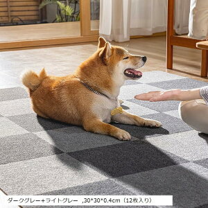 WCg}bg z}bg ^C}bg YȂ ߂Ȃ J[ybg h}bg t[OJ[ybg Ƃ hLh hۉ @􂦂 ݒuȒP (_[NO[+Cg