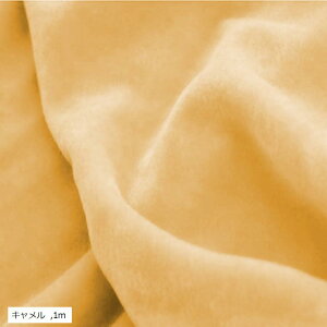 L2m |p xA n ┖ J[ n z 1m L (L, 1m)