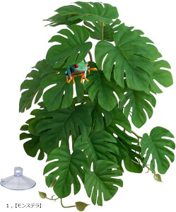 lHA tFCN  P[W   roE eE J JG gJQ ঒  ybgpi (Xe)