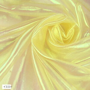 Iׂ11F I[ I[KW[ n 5mx150cm | J[  n z(CG[)