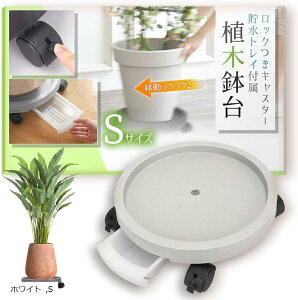 LX^[t Aؔ  t[X^h S zCg (zCg, S)