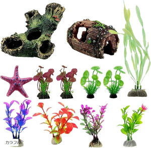 lH ANAE   CAEg Zbg vX`bN Mы _J x^ Jt (Jt)