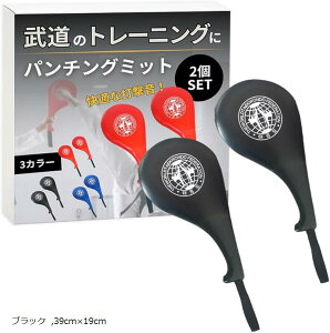 空手ミット パンチング ボクシング キックミット ハンド ストラップ付 2個セット(ブラック, 39cmx19cm)