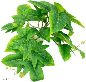 ybgpi lHA roEp zՕtXe t ঒  J JG Ή ACr[