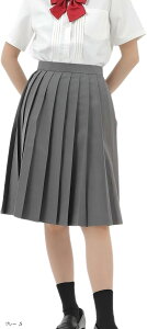 v[cXJ[g 55cm n w  G XN[jtH[ q e43(O[, S)