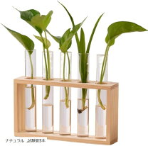 楽天市場】木製 試験管 フラワーベースの通販