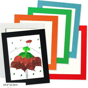 A[gt[ 6Zbg Wp tHgt[ Ǌ| y  Jt CeA Vv ʐ^ z  یtB Ǌ|pSV[gt(18.8x23.9cm)