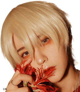 CAi EBbO V[g j Y tEBbO Jc jp y AW ʐ^ f lbgt ()