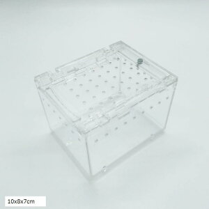 ঒ P[W VF^[ AN gJQ  T\  {bNX 10x8x7cm (10x8x7cm)