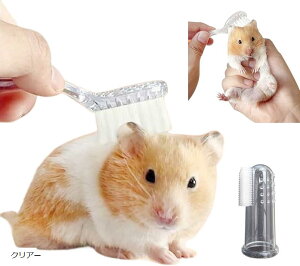 nX^[  ߋ Vѓ Vя AX`bN uV NA (NA[)