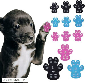  ~ V[ pbh V[ p~ ی ybgpV[Y ubN 20(u[AsNAubN, M)