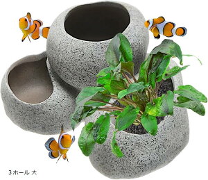    \C  t |bg ANAE  IuWF _J Mы 3z[  (3z[ )