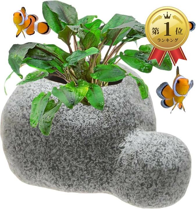 楽天市場】水槽 水草 鉢 ソイル 砂 付き 水槽ポット アクアリウム 石 