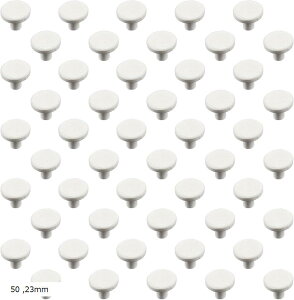 コーラルプラグ 珊瑚 サンゴ ベース セラミック 50個セット 23mm (23mm)