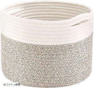 Jo[ v^[ Jo[ 10 oXPbg [   [v CeA |bg Aؔ  x[W zCgx͗l (zCgx͗l)