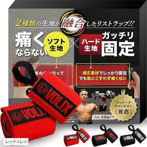 Xgbv2ނ̐nZăKb`Œł̂ɁAɂȂ؃g  T|[^[ x`vX bhxbh (bhxbh)