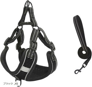  L n[lX[hZbg ybg pi   U Ԕ bV y TCY ߉\ (ubN, XS)