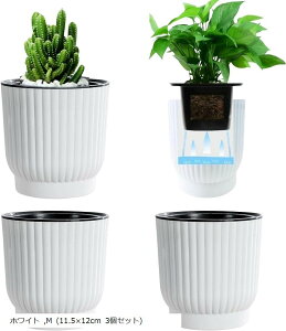  v^[ ʋ Aؔ ȋ t ϗtA  (zCg, M (11.5x12cm 3Zbg))