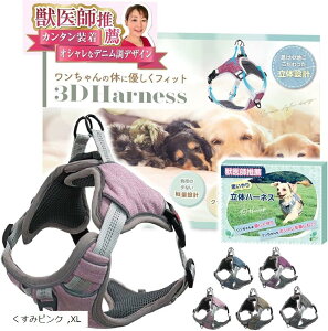 btE n[lX 2XebvŊȒPE₨ւ̕Sy Ԕˍ TCY߉\ ^ ^ ^(݃sN, XL)