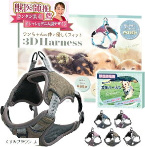 yyVLO1ʓ܁zbtE n[lX 2XebvŊȒPE₨ւ̕Sy Ԕˍ TCY߉\ ^ ^ ^(݃uE, L)