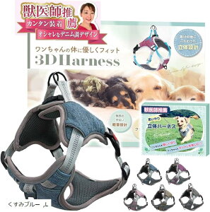 yyVLO1ʓ܁zbtE n[lX 2XebvŊȒPE₨ւ̕Sy Ԕˍ TCY߉\ ^ ^ ^ ݃u[ L (݃u[, L)