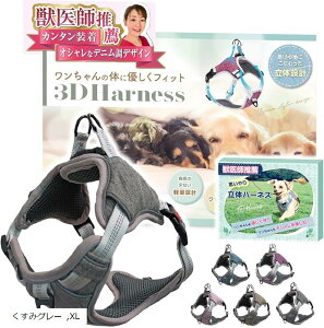 btE n[lX 2XebvŊȒPE₨ւ̕Sy Ԕˍ TCY߉\ ^ ^ ^(݃O[, XL)