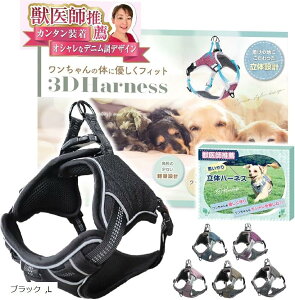 btE n[lX 2XebvŊȒPE₨ւ̕Sy Ԕˍ TCY߉\ ^ ^ ^(ubN, L)